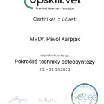 Pokročilé techniky osteosyntézy