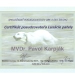 Certifikát posudzovateľa Luxácie pately